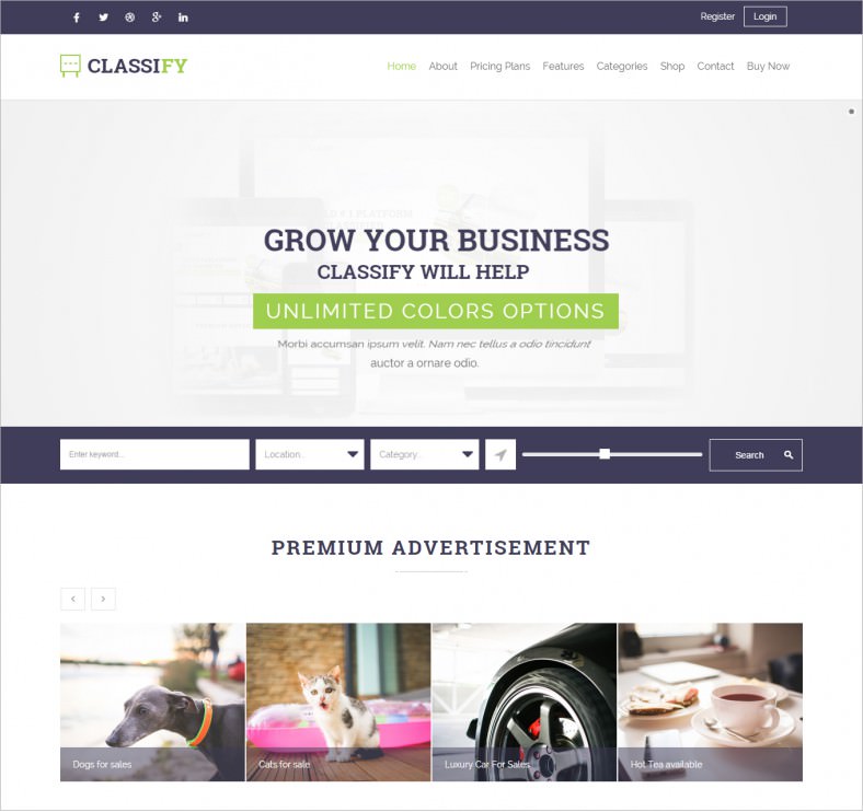 classicraft wordpress theme