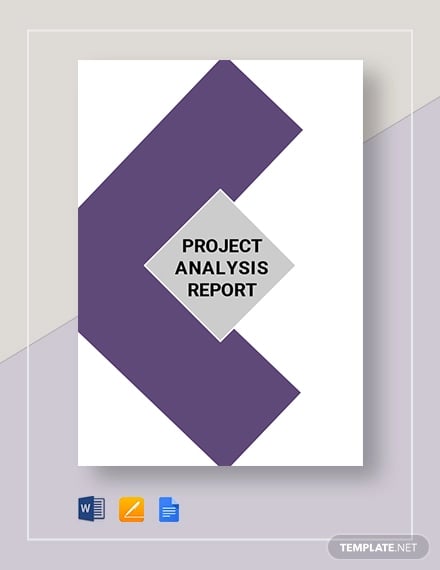 project analysis report