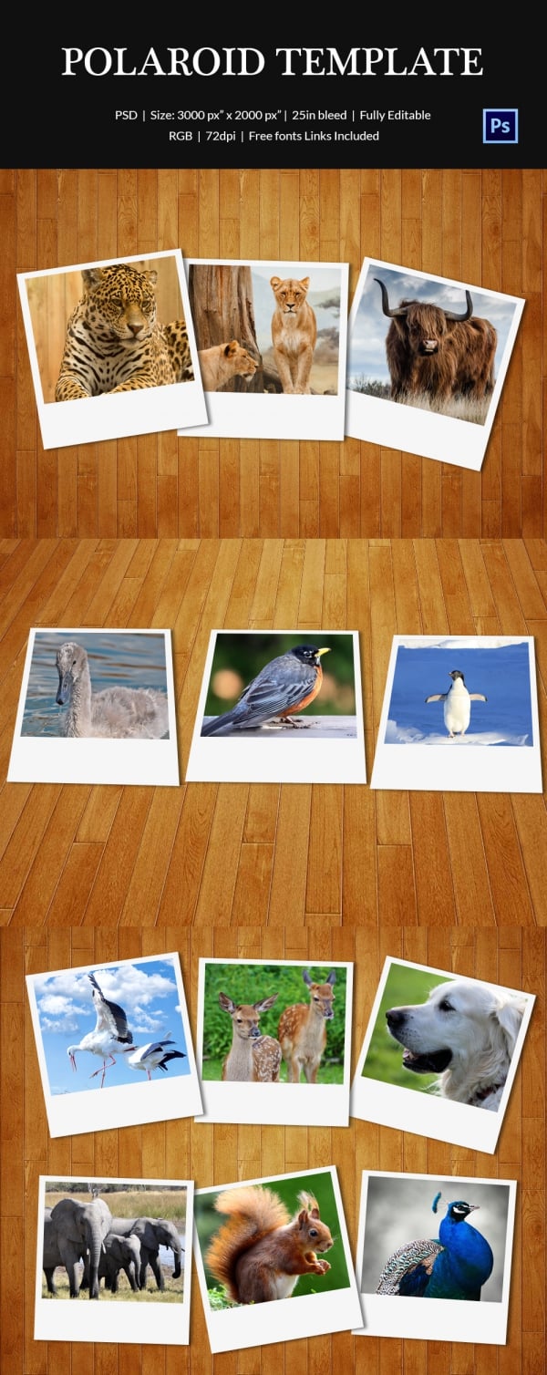 polaroid photo templates