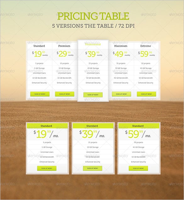 beautiful psd pricing table template