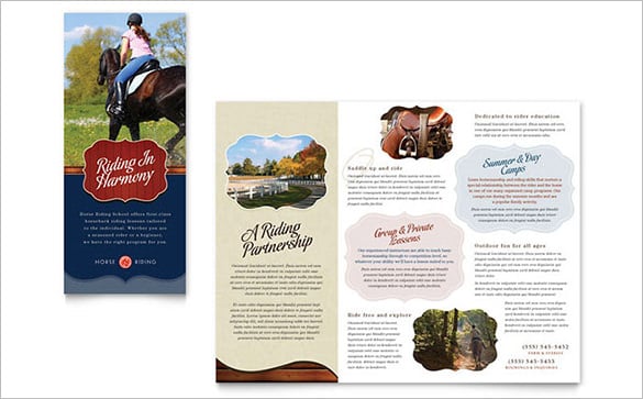 camp brochure template for horse riding