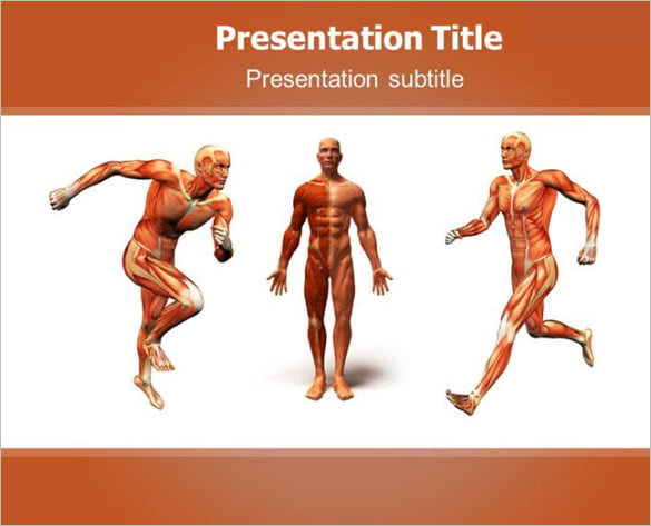 human body anatomy ppt template download