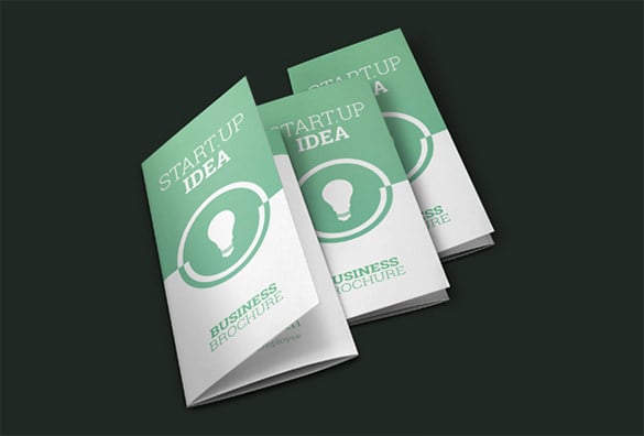 idea trifold brochure