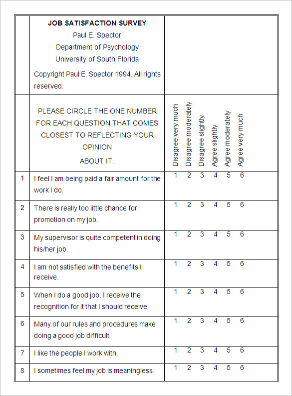 9+ Employee Satisfaction Survey Templates & Samples DOC, PDF