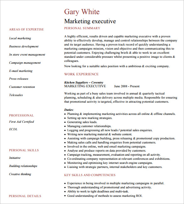 16 Executive Resume Templates Pdf Doc Apple Pages Free Premium Templates