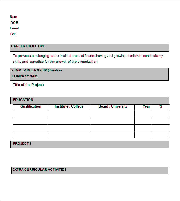 one page cv format example