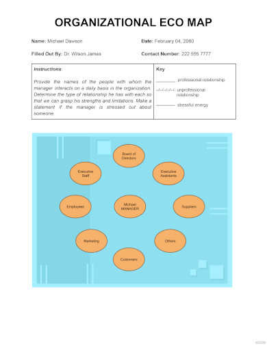 organizational ecomap template