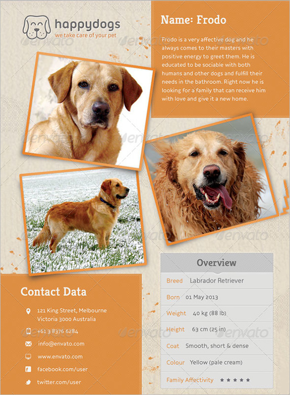 11 PSD Lost Dog Flyer Templates