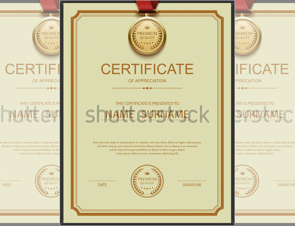 premium quality achievement certificate template