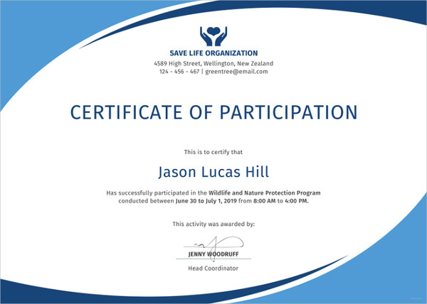 Conference Participation Certificate Template