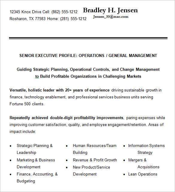 senior executive resume example