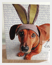 Cute-Easter-Card-Template