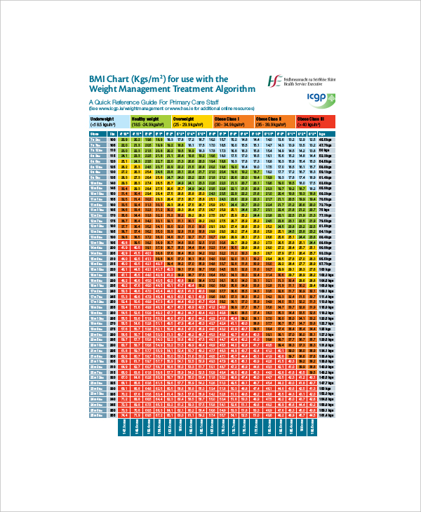 7+ BMI And Body Fat Chart Templates - Free Sample, Example Format