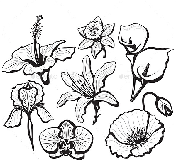 20 + Flower Petal Templates-PDF, Vector EPS | Mex Alex
