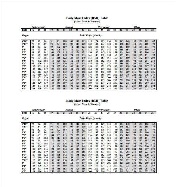 11+ BMI Chart Template - Free Sample, Example, Format Download! | Free ...