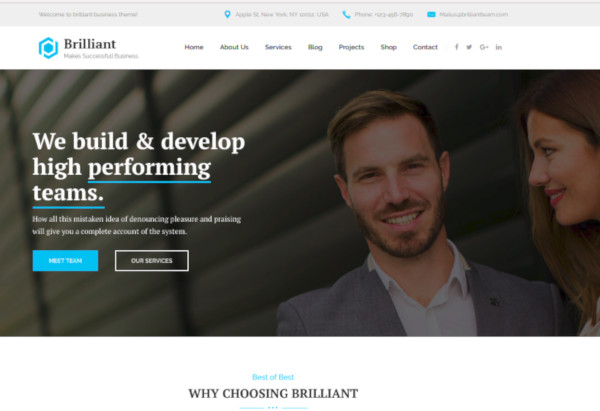 business consulting professional services joomla template