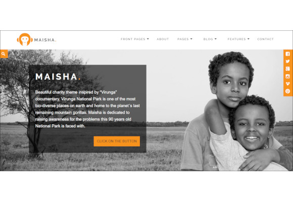 charity wordpress theme