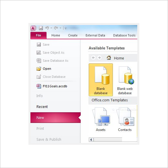 20+ Free Access Database Template
