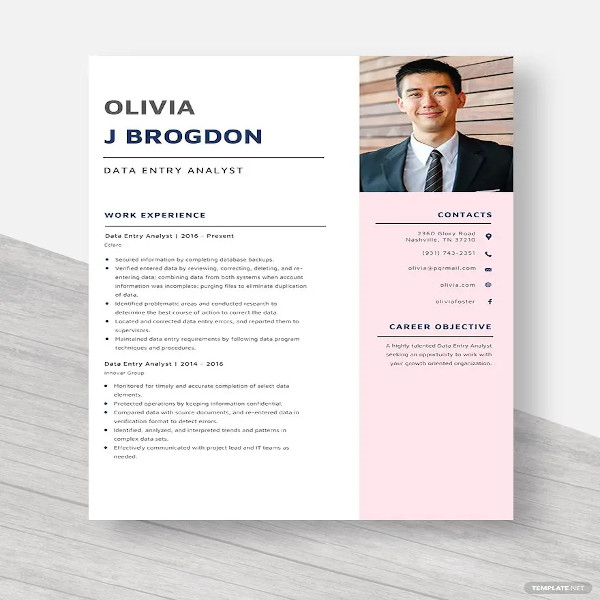 Data Analyst Resume Template - 21+ Free Word, Excel, Pdf Format Download!