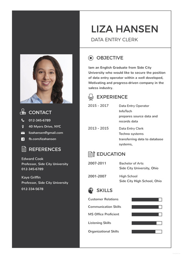 Data Entry Resume Template 18 Word Excel PDF Format Download 