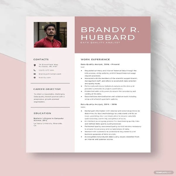 data quality analyst resume template