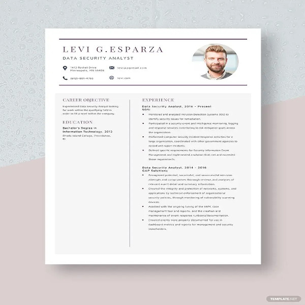 data security analyst resume template