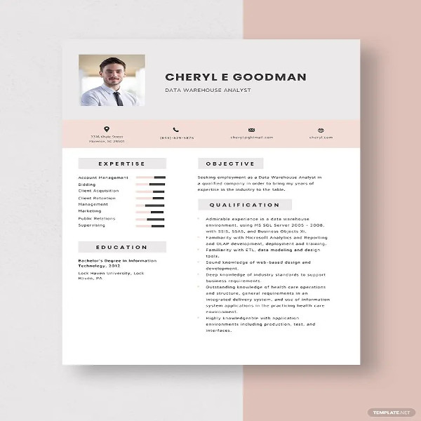 Data Analyst Resume Template - 21+ Free Word, Excel, PDF Format Download!