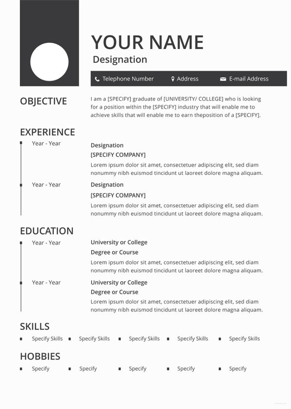 Blank Resume Template 15 Free PSD Vector EPS AI Format Download