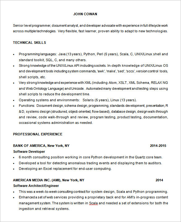 15+ Programmer Resume Templates - DOC, PDF