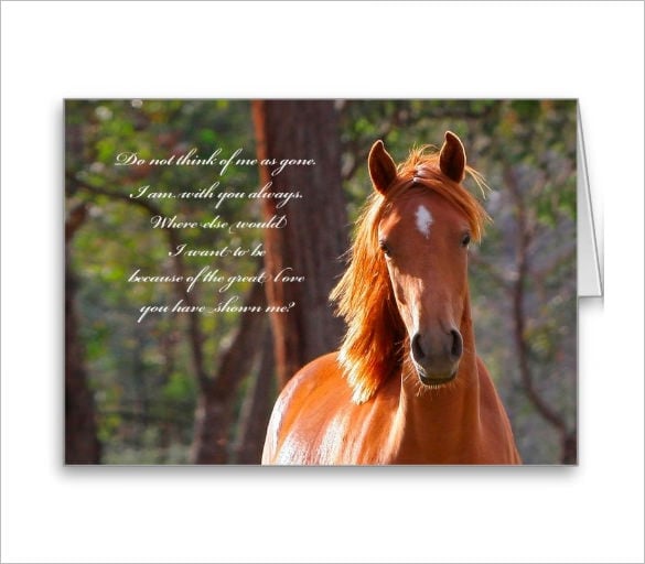 glorious horse psd sympathy card template