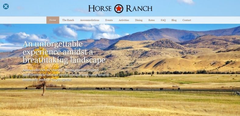 horse ranch wordpress theme 788x