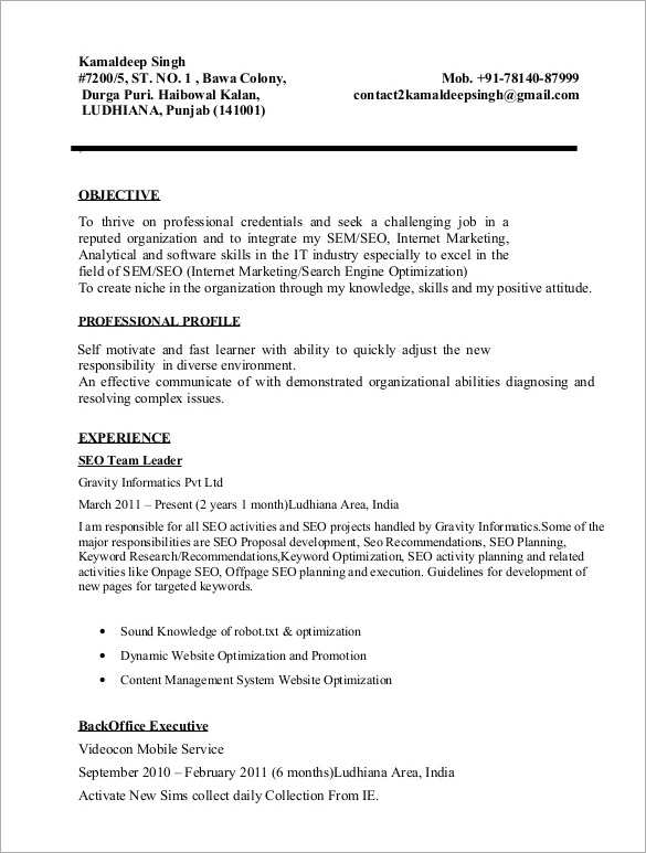 11-seo-resume-templates-doc-pdf-free-premium-templates