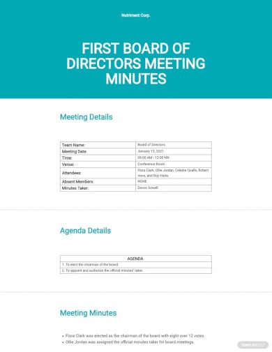 minutes of meeting of directors first template