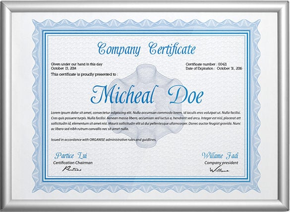 professional diploma certificate template