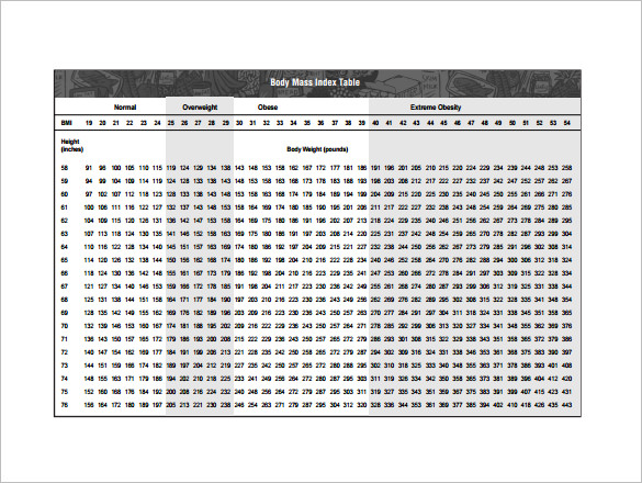 sample bmi chart template pdf format