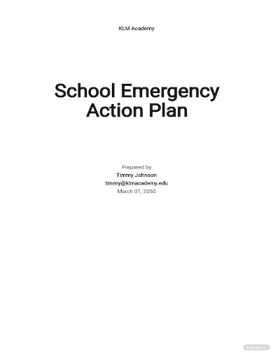 school emergency action plan template