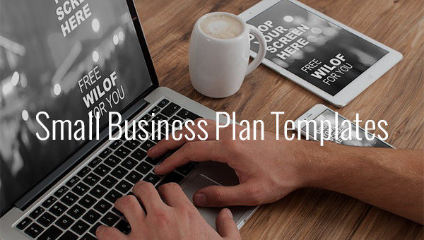 small scale business plan example pdf