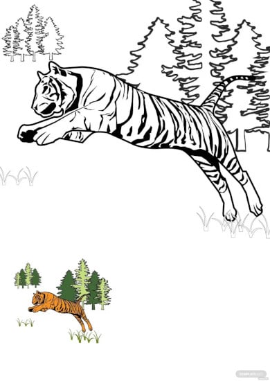 tiger full body coloring page template