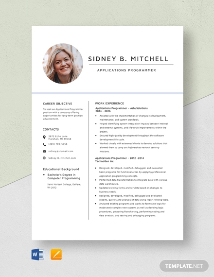 25+ Professional IT Resume Templates - PDF, DOC