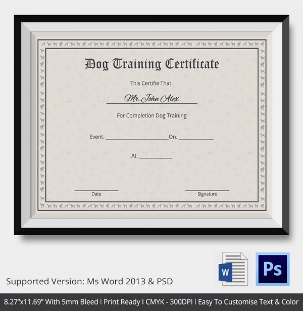 Training Certificate Template - 21+ Free Word, PDF, PSD ...