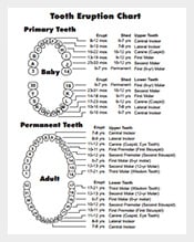 Free-Teething-Timeline-Chart-PDF