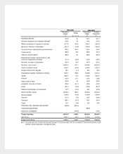Capital-Expenditure-Budget-Template-Example-PDF-Format