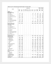 Free-Capital-Expenditure-Budget-PDF-Download