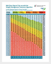 Example-of-BMI-Chart-Free-PDF-Format