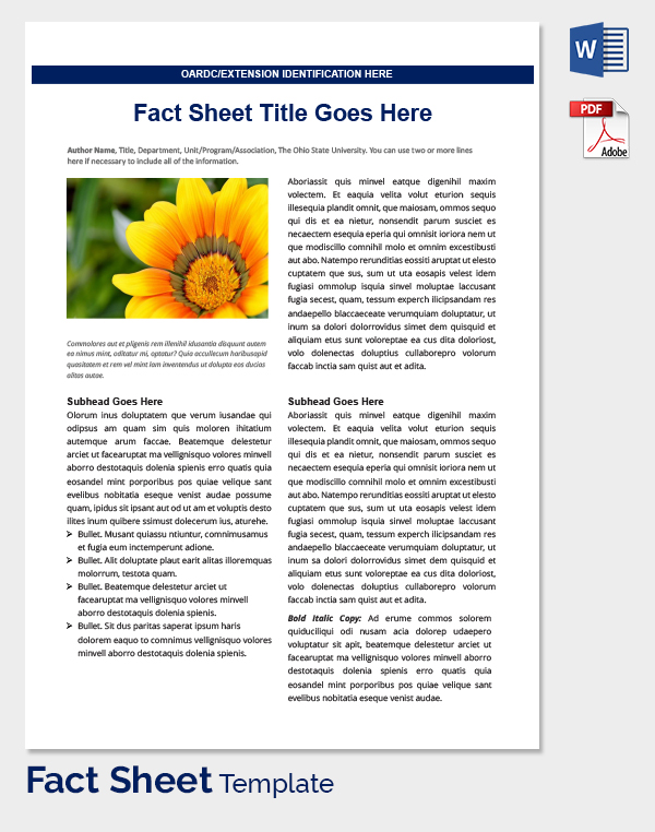 Fact Sheet Template Microsoft Word Latter