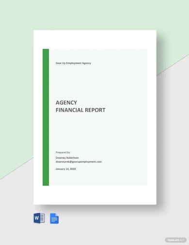 agency financial report template