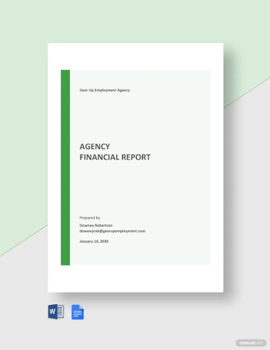 29+ Financial Report Templates - Docs, Word, PDF