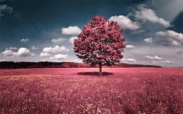 astonishing spring background free download