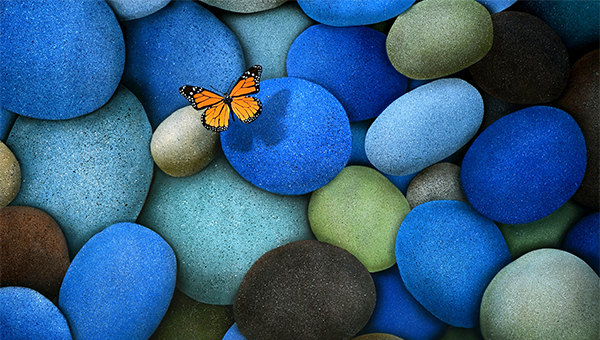 Download 29+ Butterfly Backgrounds - Free PSD, JPEG, PNG Format ...