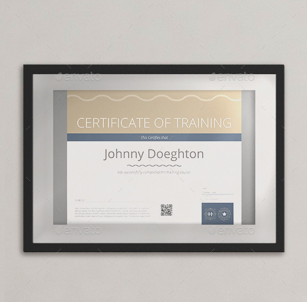 29+ Training Certificate Templates - DOC, PSD, AI, InDesign